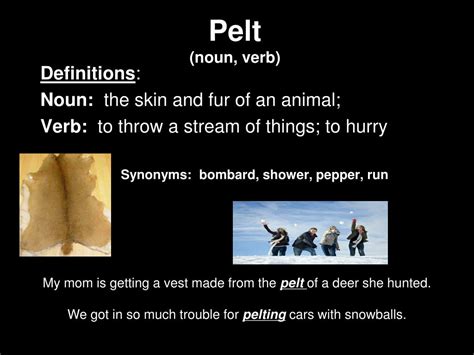 pelt verb .